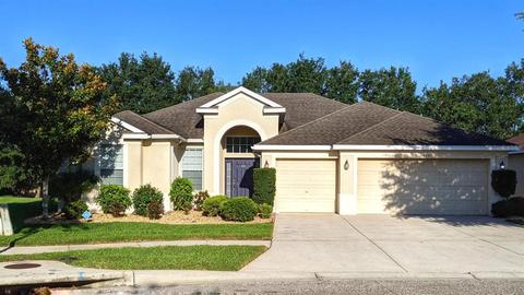 10729 Rockledge View Dr, Riverview, FL 33579 photo 1