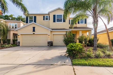10407 Hampton Meadow Way, Riverview, FL 33578 photo 1