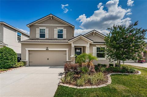 13009 Rain Lily Dr, Riverview, FL 33579 photo 1