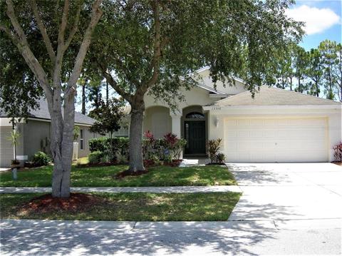 13306 Evening Sunset Ln, Riverview, FL 33579 photo 1