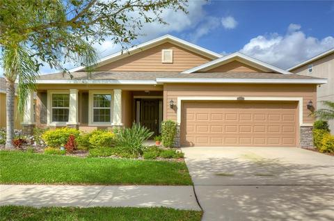 11611 Warren Oaks Pl, Riverview, FL 33578 photo 1