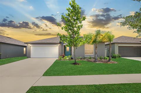 10214 Bright Crystal Ave, Riverview, FL 33578 photo 1