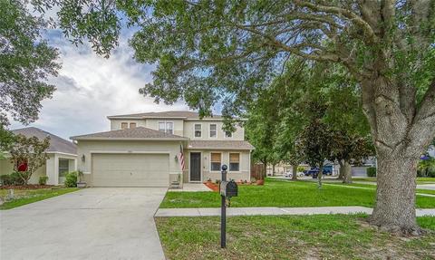 13518 Blue Sunfish Ct, Riverview, FL 33569 photo 1