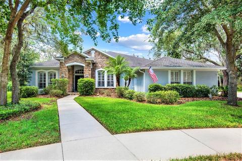 5830 Terncrest Dr, Lithia, FL 33547 photo 1