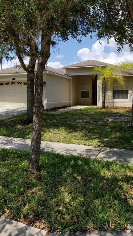 3949 Constantine Loop, Wesley Chapel, FL 33543 photo 1