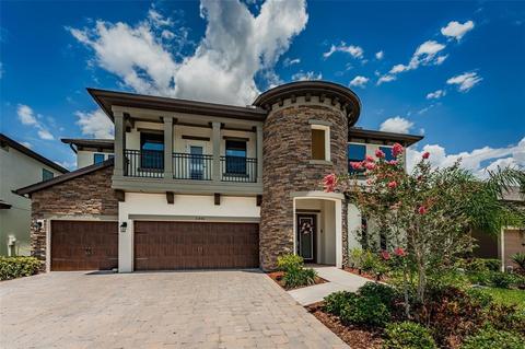 11442 Drifting Leaf Dr, Riverview, FL 33579 photo 1