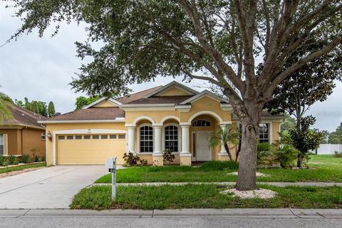 12421 Adventure Dr, Riverview, FL 33579 photo 1