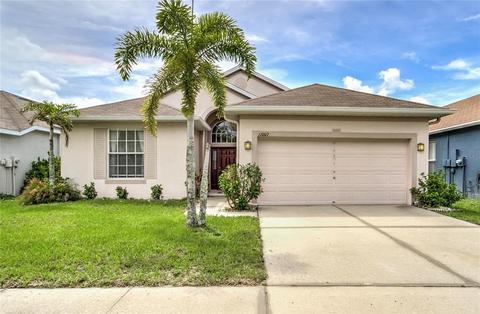 11007 Silver Dancer Dr, Riverview, FL 33579 photo 1