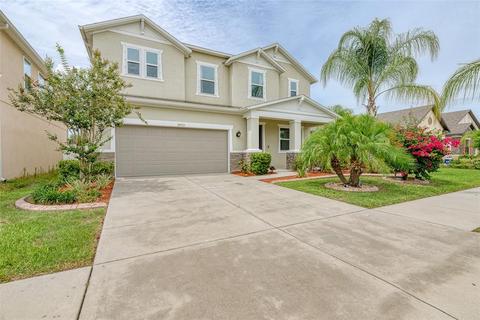 10515 Massimo Dr, Wimauma, FL 33598 photo 1