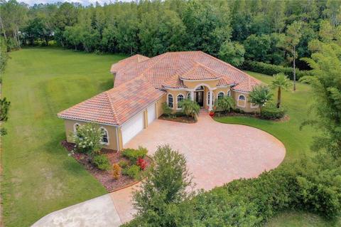 16845 Whirley Rd, Lutz, FL 33558 photo 1