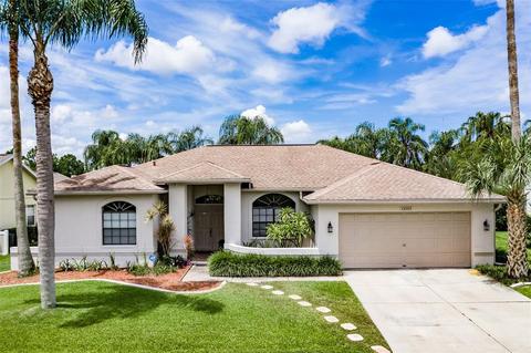 13005 Fair Green Dr, Riverview, FL 33579 photo 1