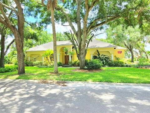 8914 Riverlachen Way, Riverview, FL 33578 photo 1
