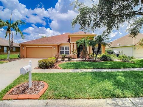 9105 Pinebreeze Dr, Riverview, FL 33578 photo 1
