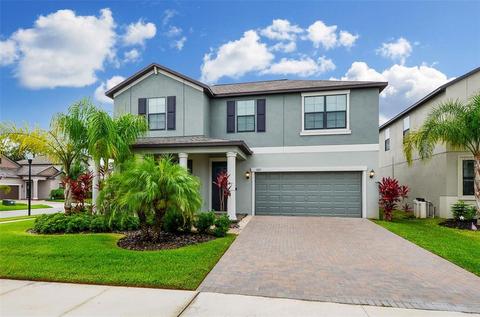 13217 Haystack Ct, Riverview, FL 33579 photo 1