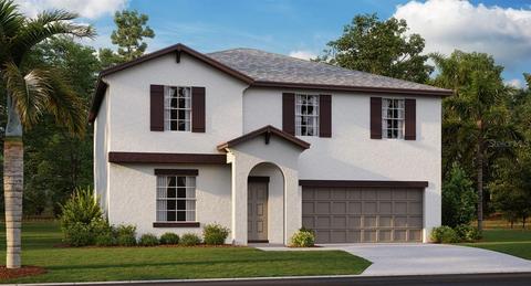 13634 Wild Ginger St, Riverview, FL 33579 photo 1