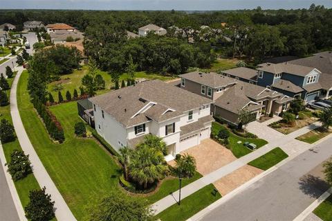 6302 Knob Tree Dr, Lithia, FL 33547 photo 1