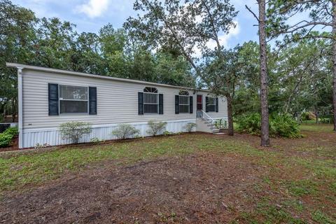 17544 Bathurst Ave, Spring Hill, FL 34610 photo 1