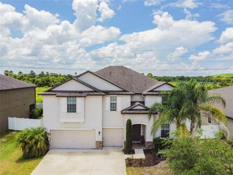 11631 Brighton Knoll Loop, Riverview, FL 33579 photo 1