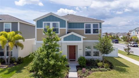 12820 Crested Iris Way, Riverview, FL 33579 photo 1