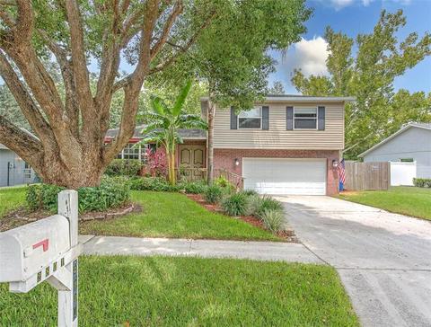 2801 Linden Tree St, Seffner, FL 33584 photo 1