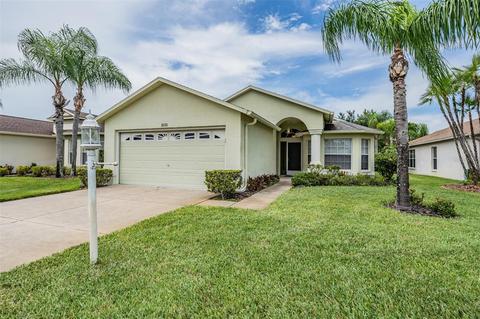 1031 Dustan Pl, Trinity, FL 34655 photo 1