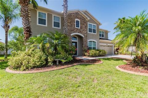 11809 Newberry Grove Loop, Riverview, FL 33579 photo 1