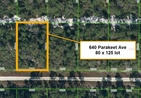 640 Parakeet Ave, Sebring, FL 33872 photo 1