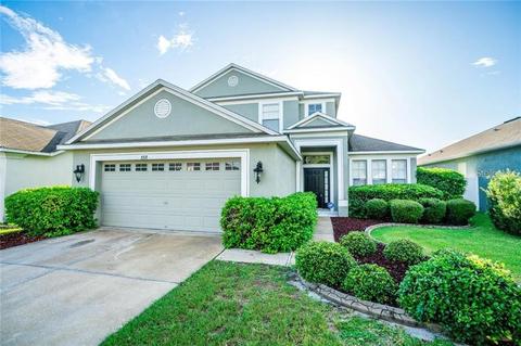 8708 Sandy Plains Dr, Riverview, FL 33578 photo 1