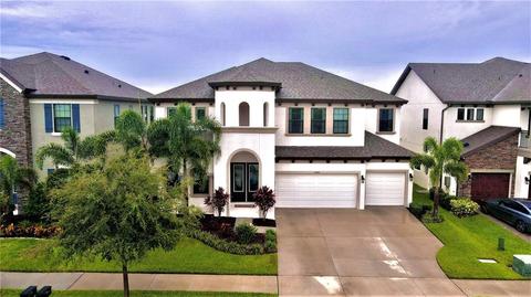 11440 Drifting Leaf Dr, Riverview, FL 33579 photo 1