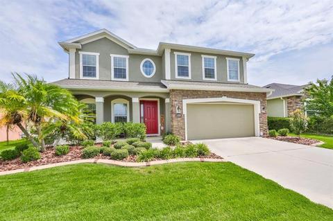 11036 Spring Point Cir, Riverview, FL 33579 photo 1