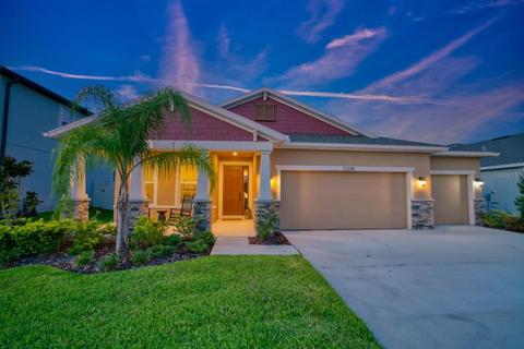 13208 Moss Grass Way, Riverview, FL 33579 photo 1