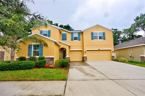10405 Pleasant Spring Way, Riverview, FL 33578 photo 1