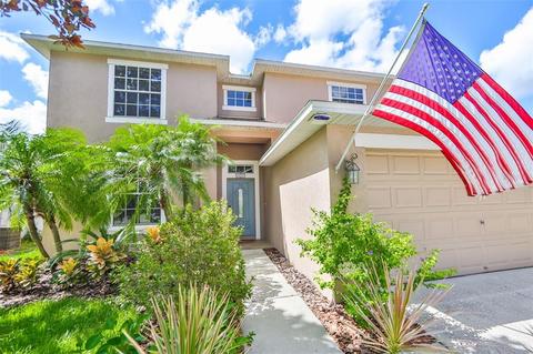12758 Standbridge Dr, Riverview, FL 33579 photo 1