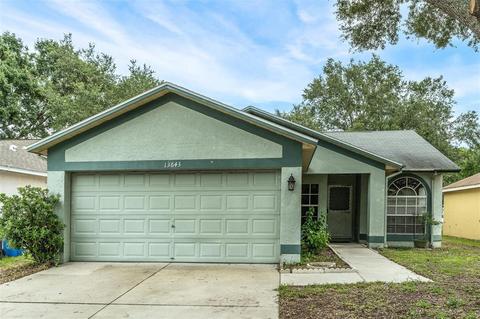 13643 Laraway Dr, Riverview, FL 33579 photo 1