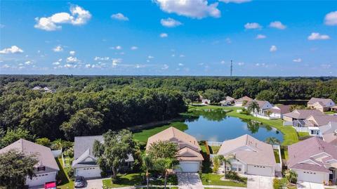 6260 Crickethollow Dr, Riverview, FL 33578 photo 1