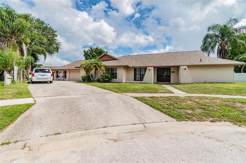 2802 Pointer Pl, Seffner, FL 33584 photo 1