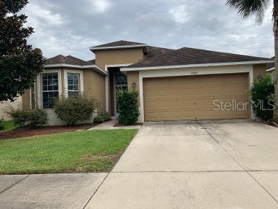 7025 Forest Mere Dr, Riverview, FL 33578 photo 1