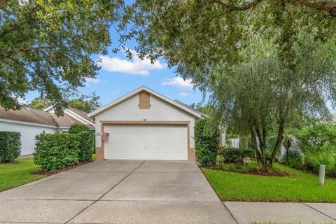 5807 Tanagerside Rd, Lithia, FL 33547 photo 1