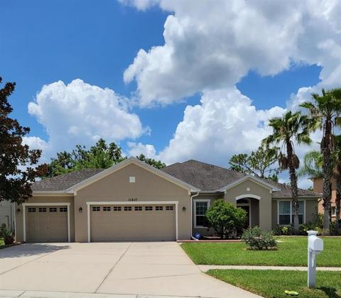 11807 Newberry Grove Loop, Riverview, FL 33579 photo 1