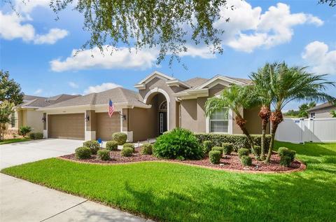 10820 Rockledge View Dr, Riverview, FL 33579 photo 1