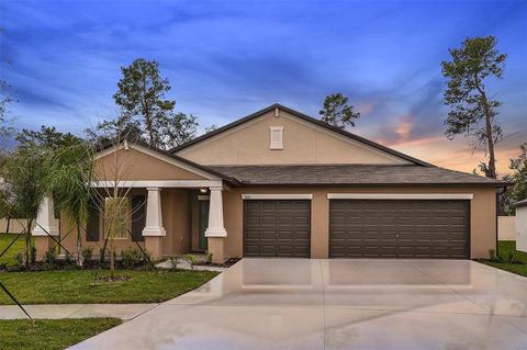 13513 Willow Bluestar Loop, Riverview, FL 33579 photo 1