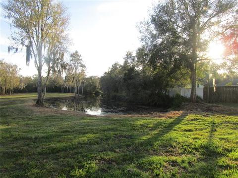 6004 Harwell Estates Dr, Dover, FL 33527 photo 1