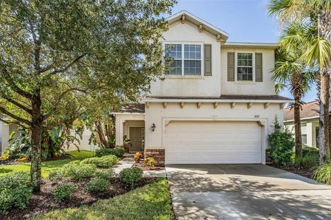 8307 Deerland Bluff Ln, Riverview, FL 33578 photo 1