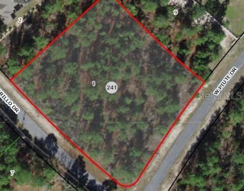 N Amarillo Drive, Beverly Hills, FL 34465