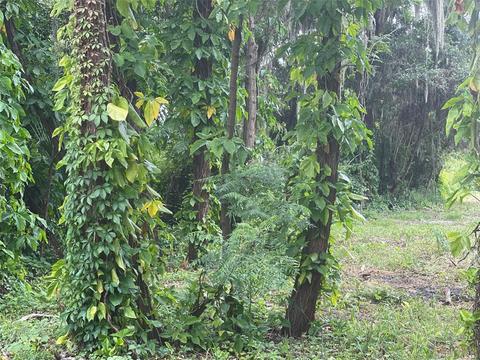 11735 John Robbins Rd, Riverview, FL 33578 photo 1