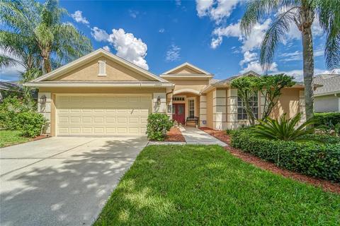 10003 Remington Dr, Riverview, FL 33578 photo 1