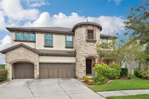 11436 Drifting Leaf Dr, Riverview, FL 33579 photo 1