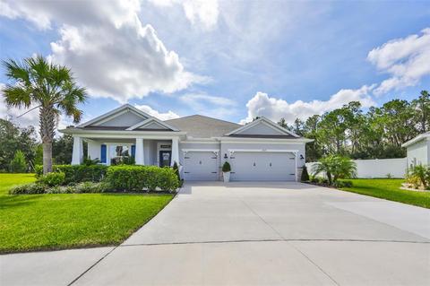 12429 Brick Cobblestone Dr, Riverview, FL 33579 photo 1
