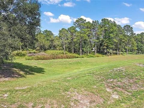 23133 Lake Seneca Rd, Eustis, FL 32736 photo 1