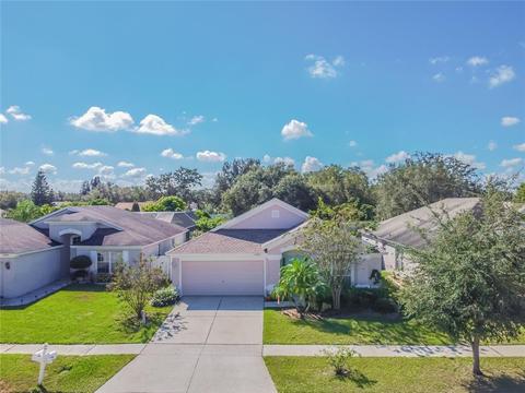 10427 Soaring Eagle Dr, Riverview, FL 33578 photo 1